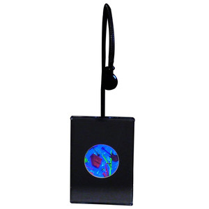 Musical Instruments Small Round Hologram Picture (LIGHTED DESK STAND), 3D Collectible Embossed Type Hologram